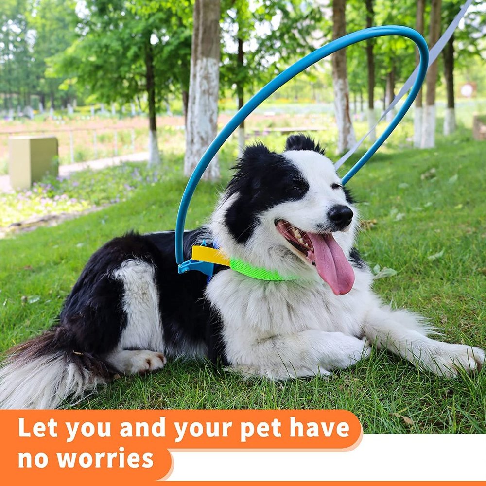 Blind Dog Harness Guiding Device, Blind Dog Halo, Pet Collar Help Size SM